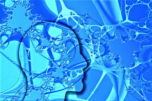 爱游戏综合娱乐-中国足球不同战术体系试验数据，国足战术风格