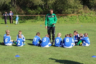 爱游戏综合娱乐-意甲教练团队基于自然语言语调分类器指导战术表达调整,自然语言语义识别