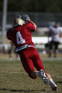 AYX SPORTS-意甲球队防守阵型调整对对手进攻成功率的影响,意甲防守最强的球队